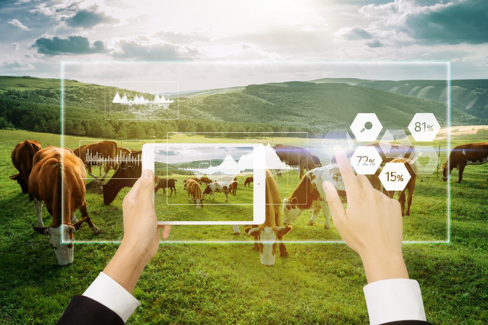 login_凤凰至尊(中国)-官方网站