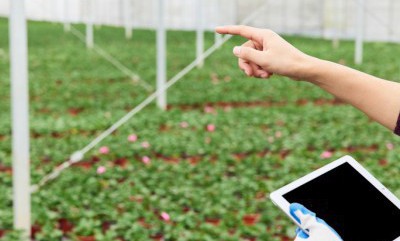 login_凤凰至尊(中国)-官方网站